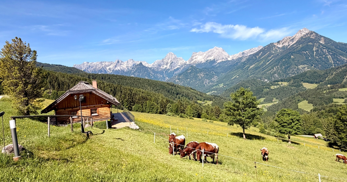 Chalet mit Kühen und Bergpanorama