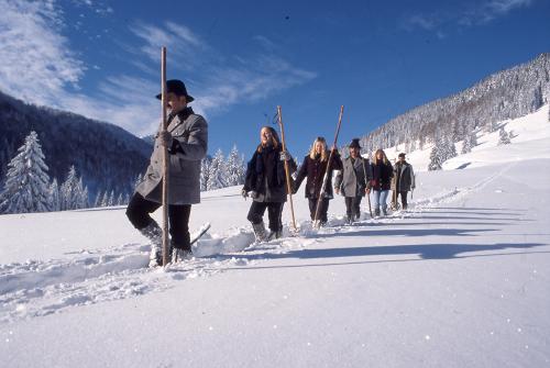 g-aktivurlaub-schneewanderung-schneeschuhwanderung-schnee-wandern-winter-urlaub